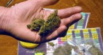 AMSTERDAM-CANNABIS